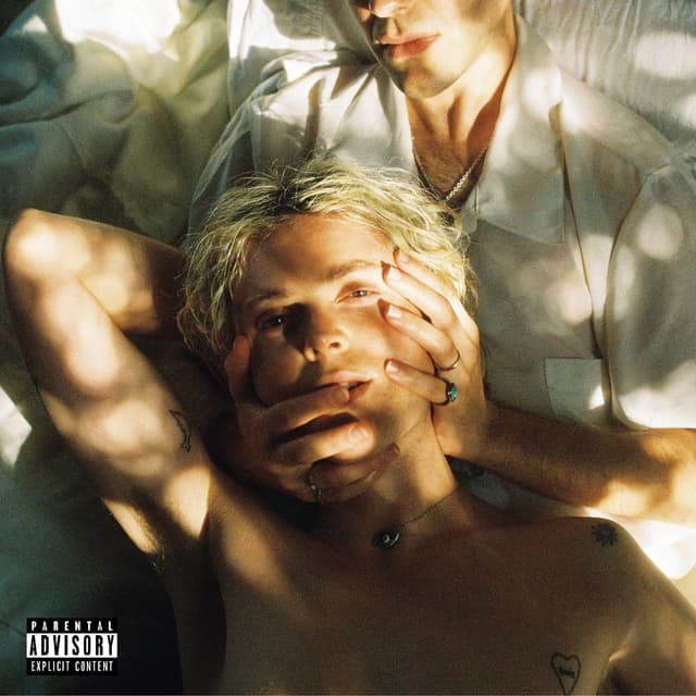 Album cover art for Cub Sport