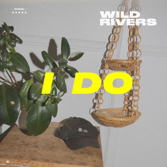 Album cover art for I Do
