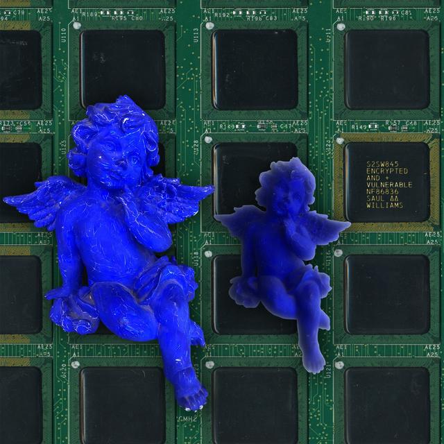 Album cover art for Encrypted & Vulnerable
