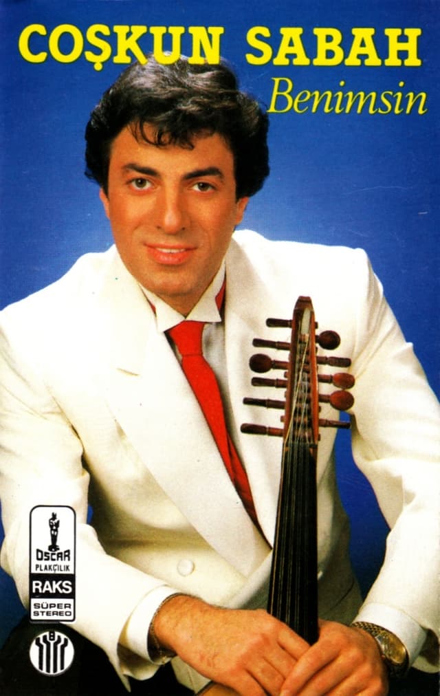 Album cover art for Benimsin