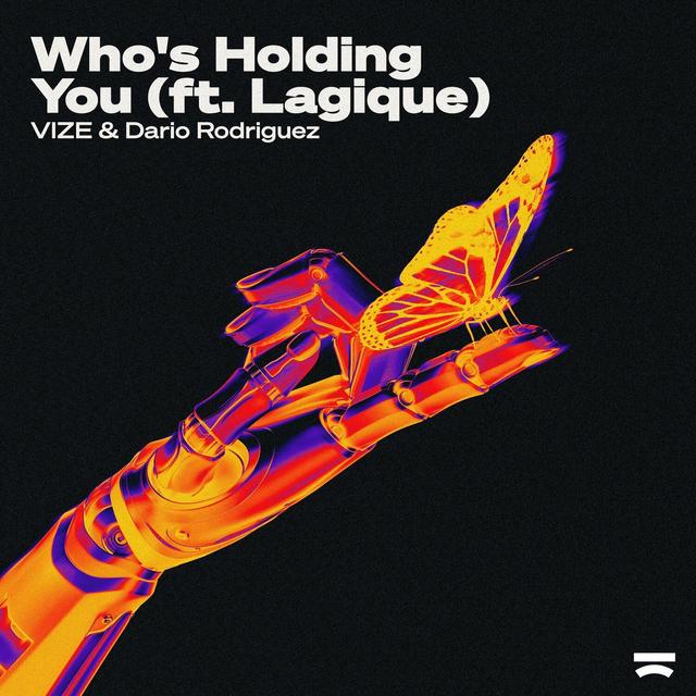 Album cover art for Who's Holding You