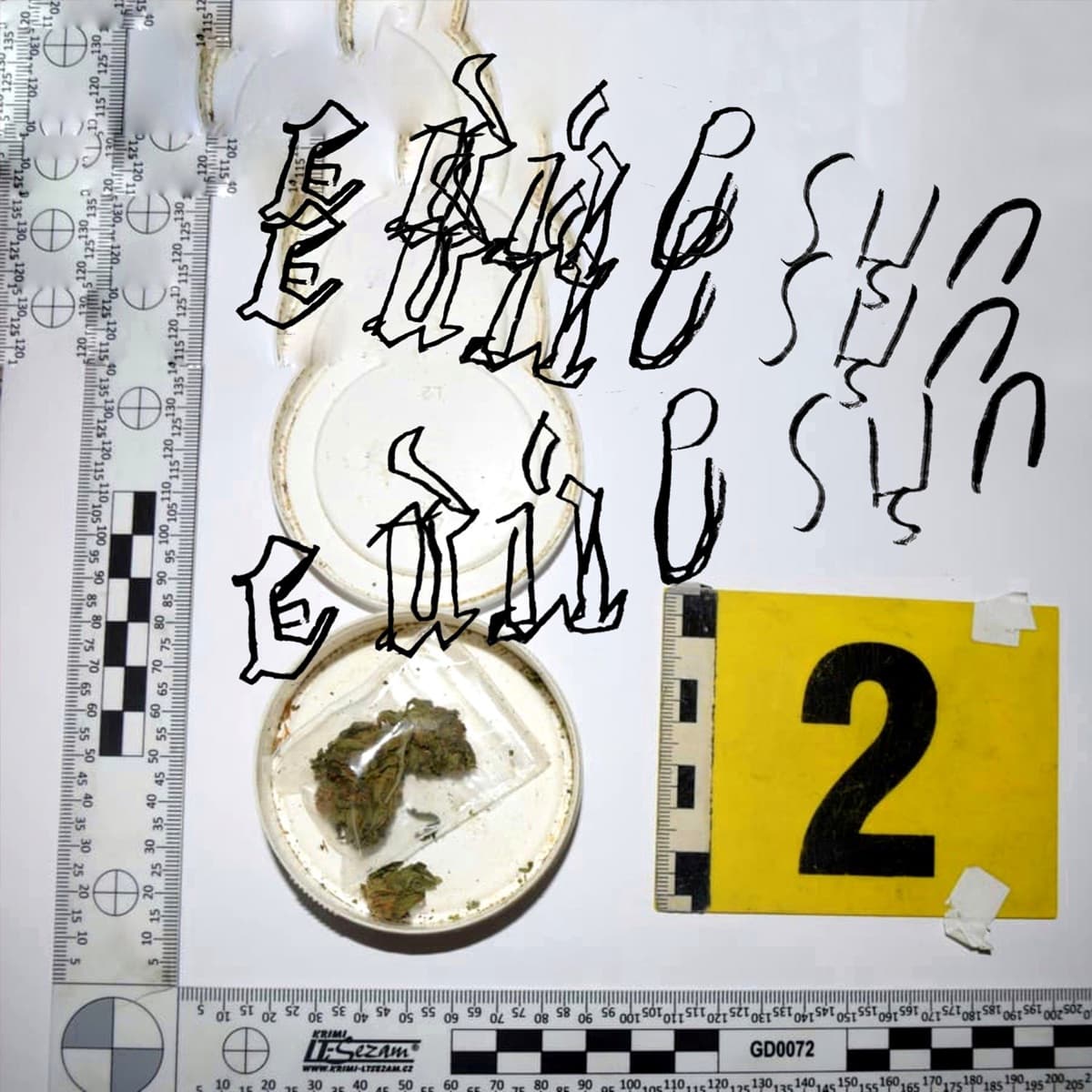 Lyric cover art