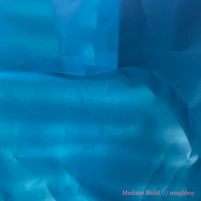 Album cover art for roughboy