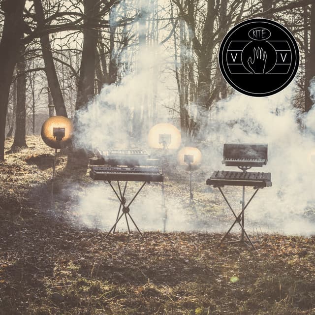 Album cover art for V
