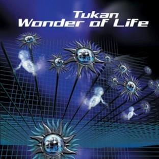 Album cover art for Wonder Of Life