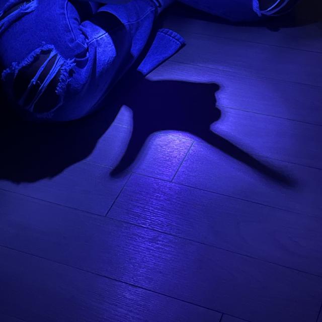 Album cover art for Risou