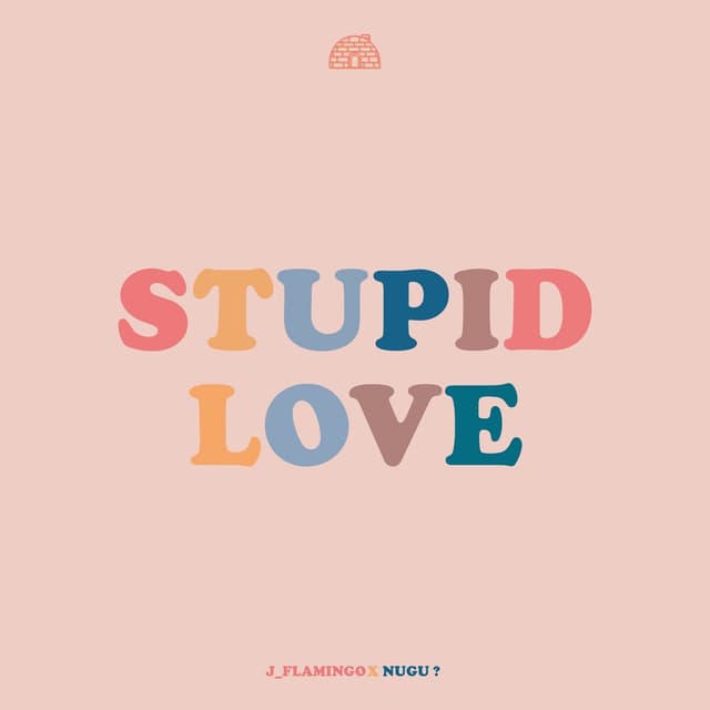 Album cover art for Stupid Love