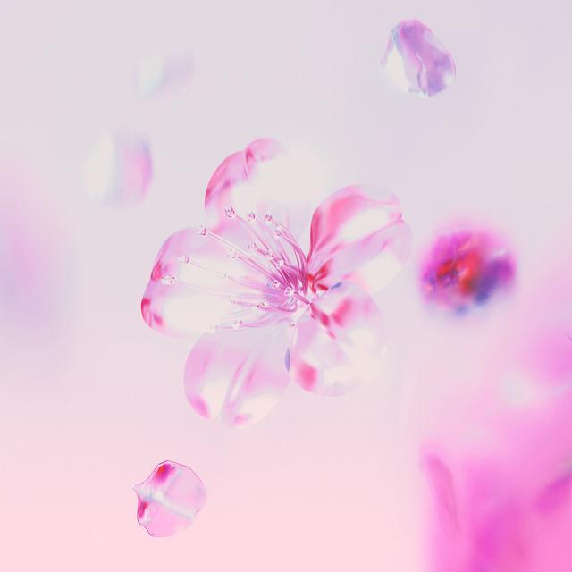 Album cover art for SAKURA