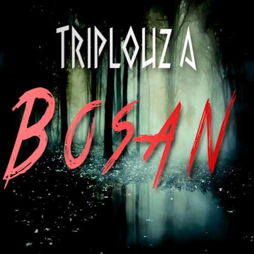 Album cover art for Bosan
