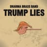 Trump Lies