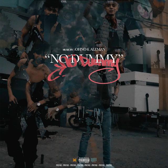 Album cover art for No Dummy