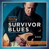 Album cover art for Survivor Blues