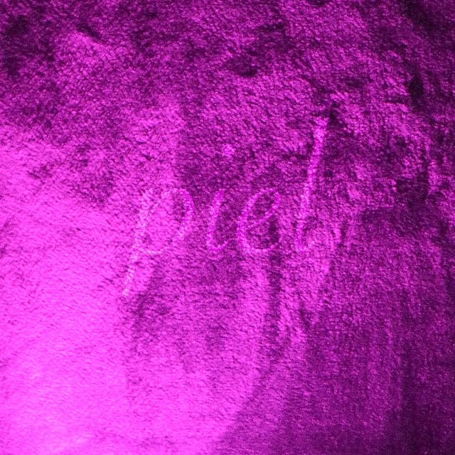 Album cover art for Piel