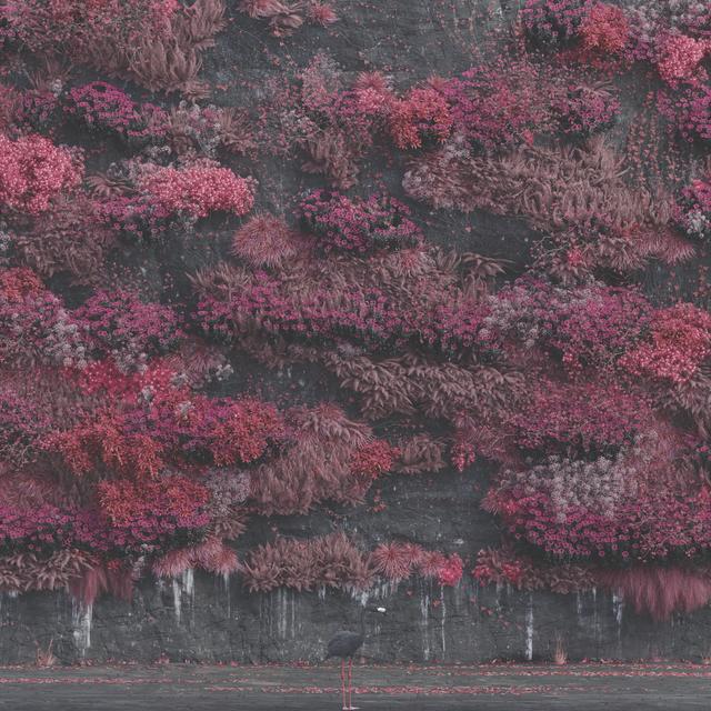 Album cover art for Even in Arcadia