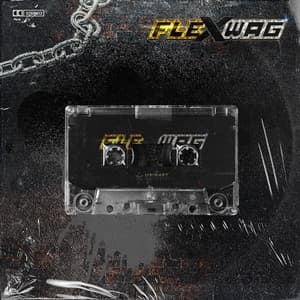 Album cover art for .zip z01