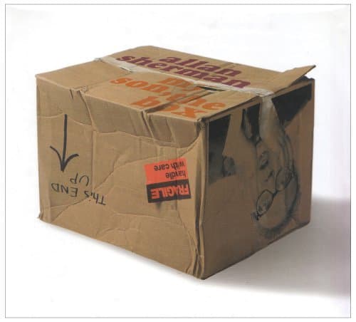 Album cover art for My Son, The Box