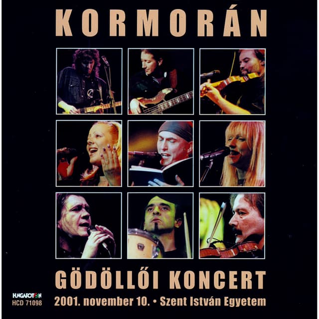 Album cover art for Gödöllői Koncert
