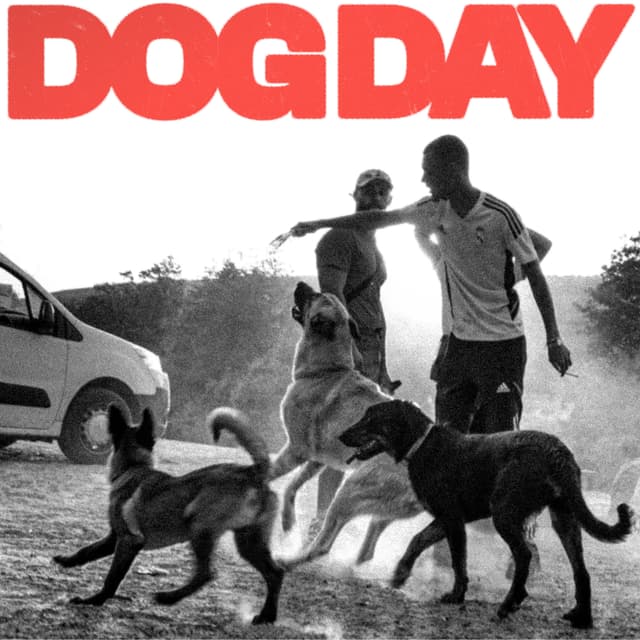 Album cover art for Dog Day