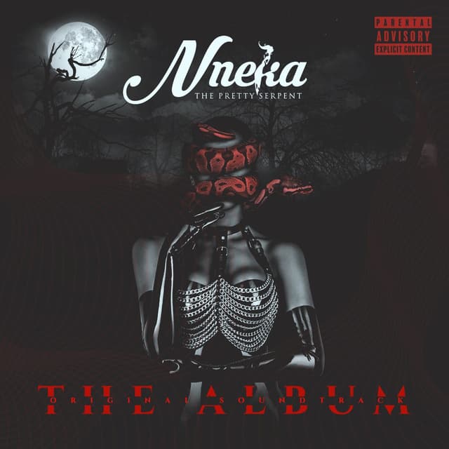 Album cover art for Nneka (The Pretty Serpent)