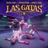 Las Gatas