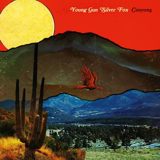 Album cover art for Canyons