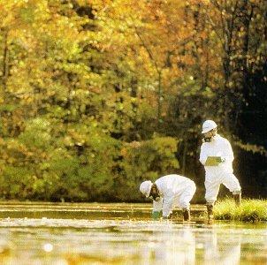 Album cover art for Hippjokk