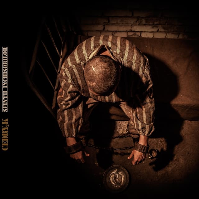 Album cover art for Sfinții Închisorilor