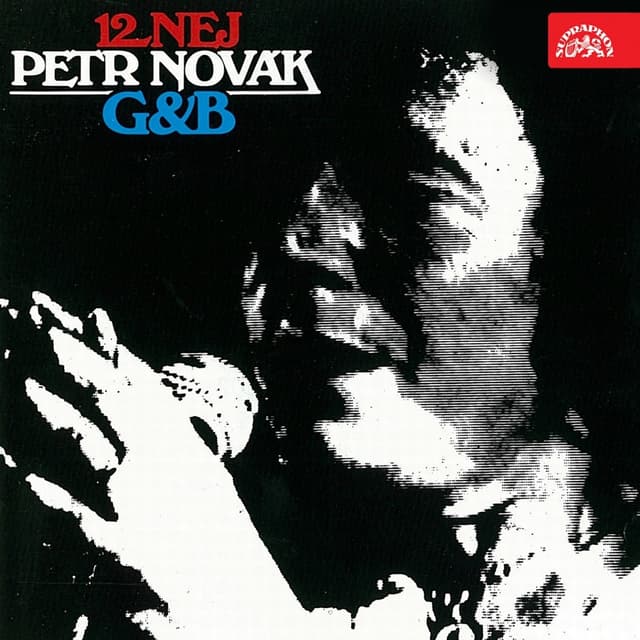 Album cover art for 12 Nej