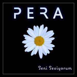 Album cover art for Seni Seviyorum