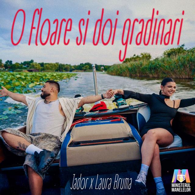 Album cover art for O floare si doi grădinari
