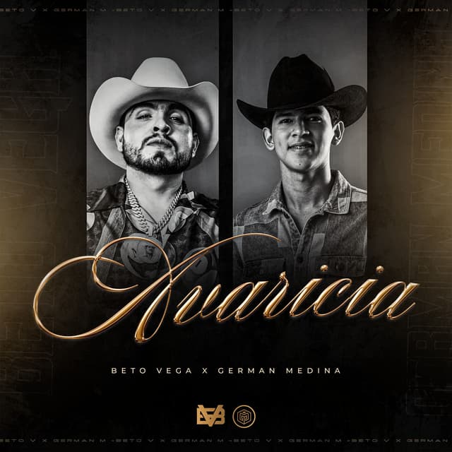 Album cover art for Avaricia