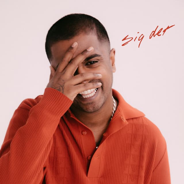 Album cover art for Sig Det