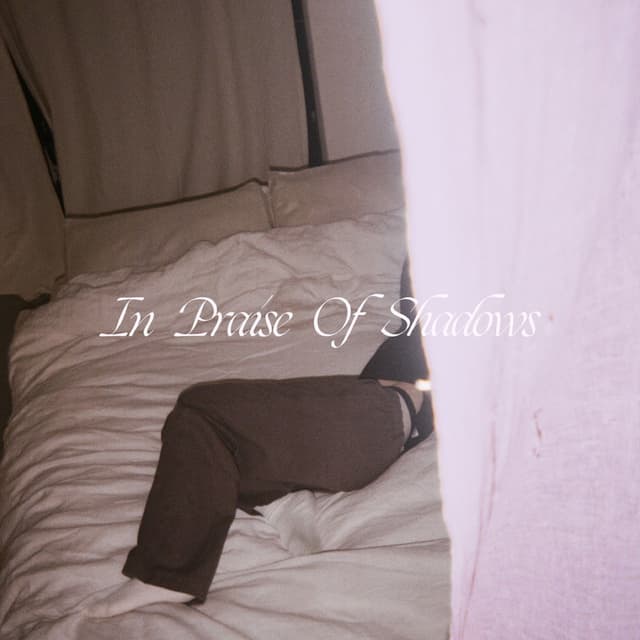 Album cover art for In Praise of Shadows