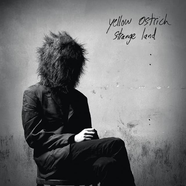 Album cover art for Strange Land