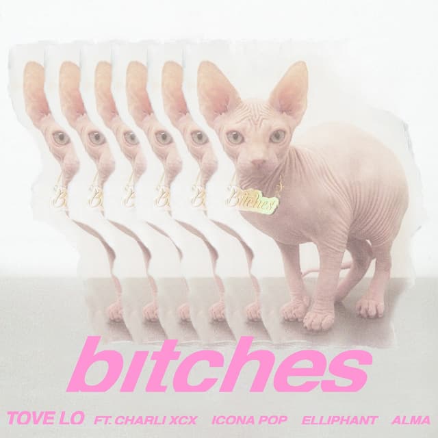 Album cover art for bitches