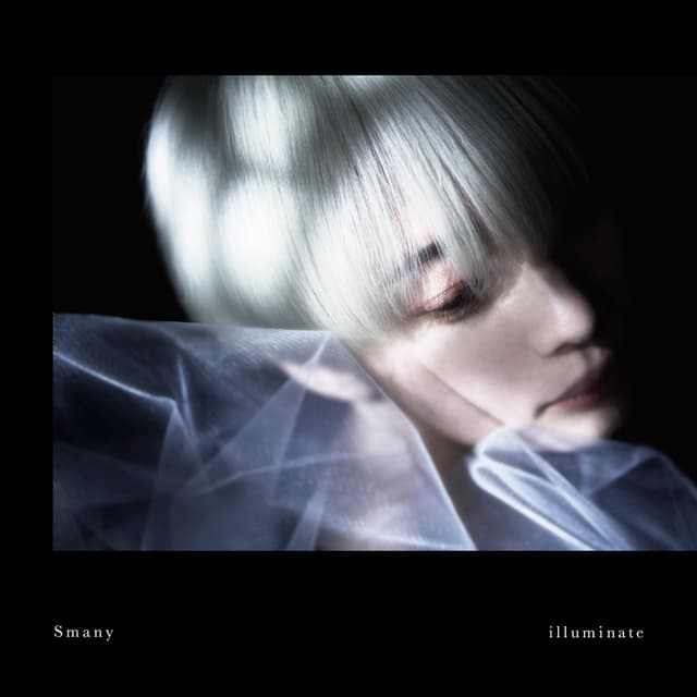 Album cover art for illuminate