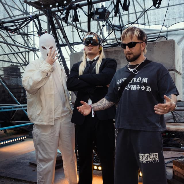 Album cover art for Spring VIP