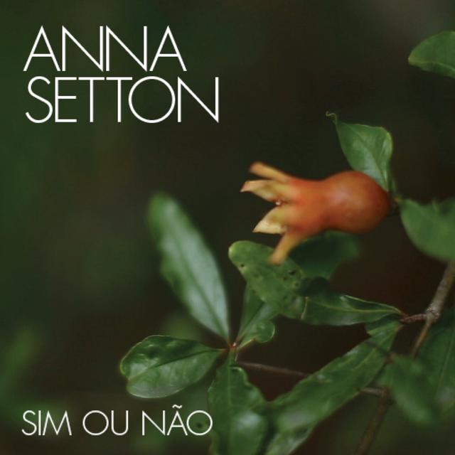 Album cover art for Sim ou Não