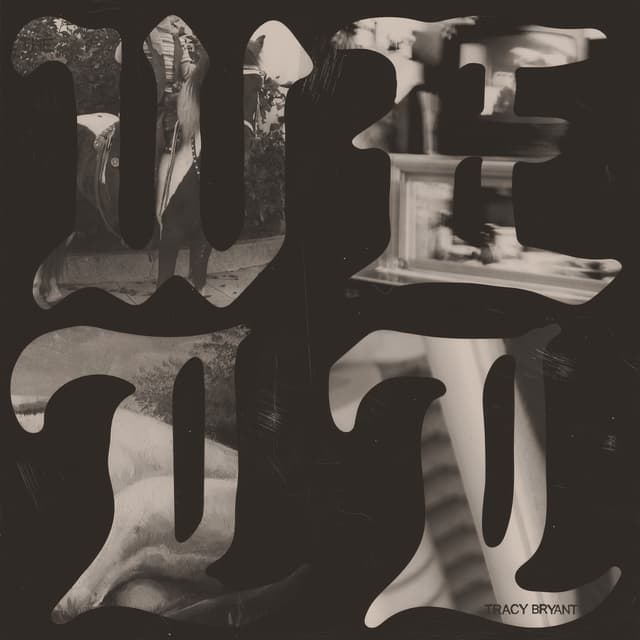Album cover art for The Well