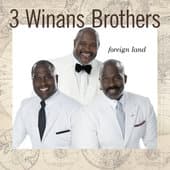Album cover art for Foreign Land