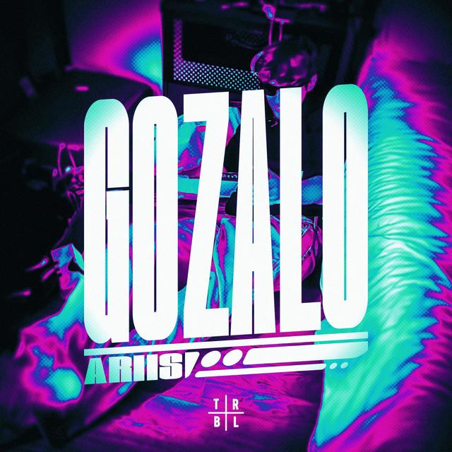 Album cover art for GOZALO (Ultra Slowed)