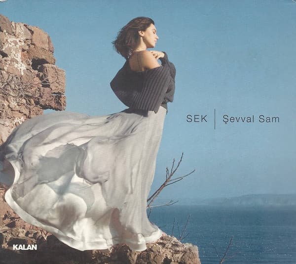 Album cover art for Sek