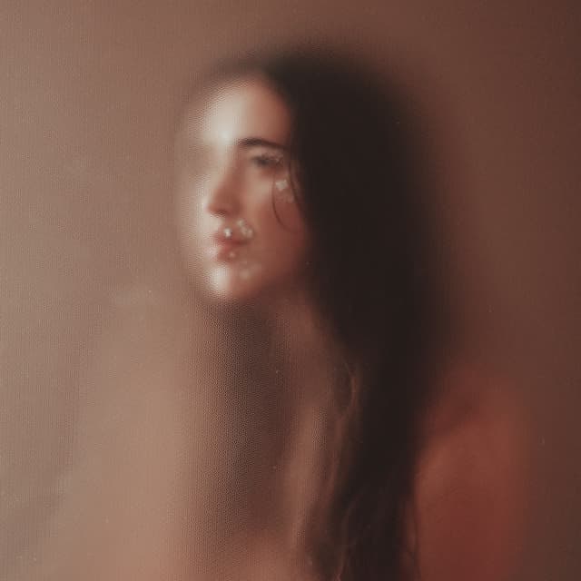 Album cover art for Cançons de rebost