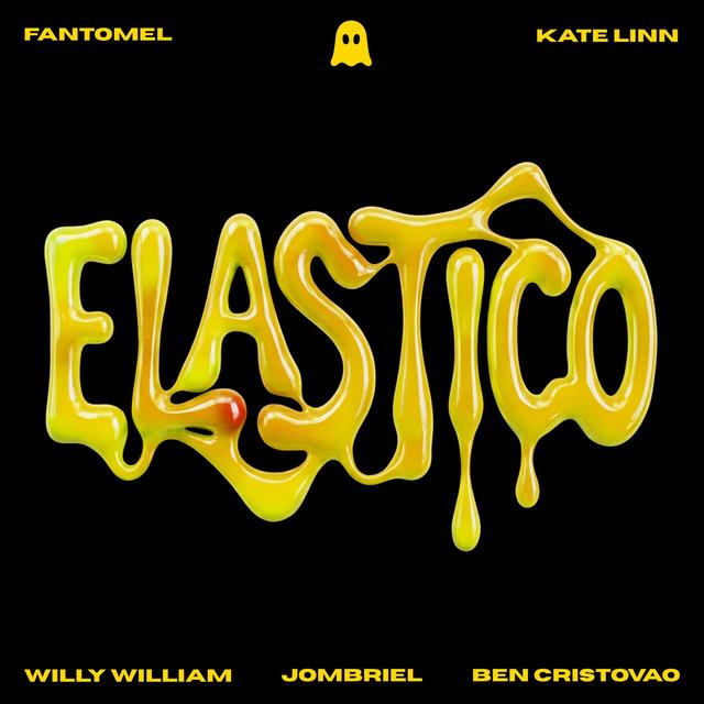 Album cover art for Elastico