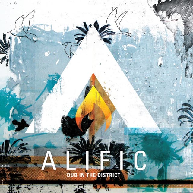 Album cover art for Dub in the District