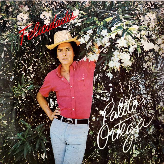 Album cover art for Felicidades