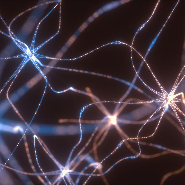 Album cover art for Stuck in My Head