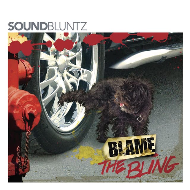 Album cover art for Blame The Bling