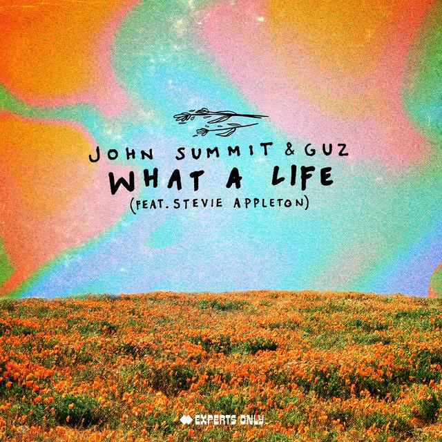 Album cover art for What A Life (feat. Stevie Appleton)