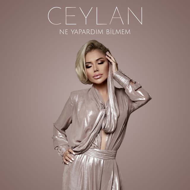 Album cover art for Ne Yapardım Bilmem